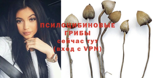 прущие крисы Каменногорск