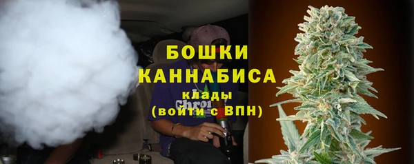 дживик Каменск-Шахтинский