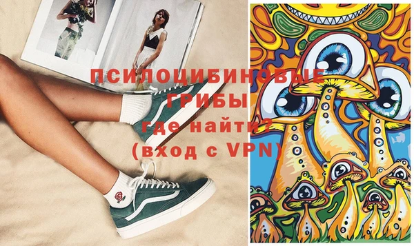 прущие крисы Каменногорск