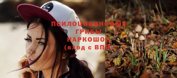 прущие крисы Каменногорск