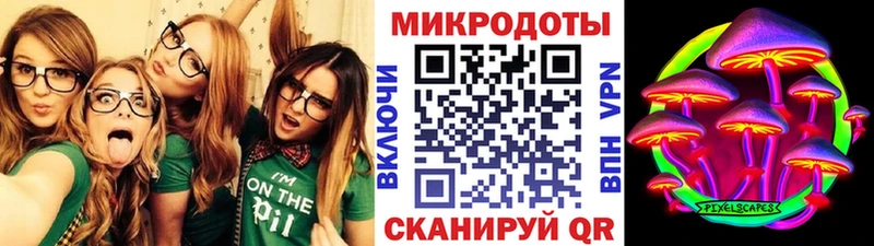 Псилоцибиновые грибы Psilocybe  Купить  Горнозаводск 