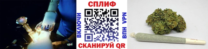 Купить где  Горнозаводск  Конопля MAZAR 